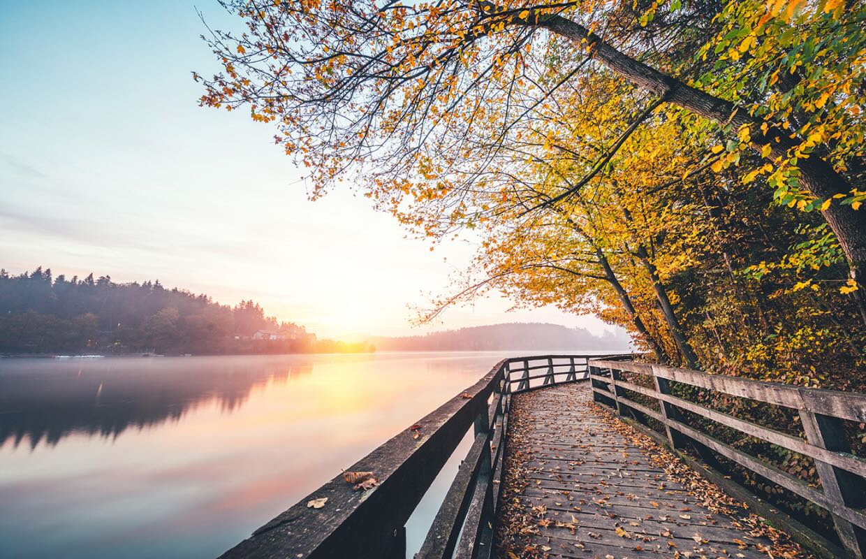 Walking path by the lake in Fall